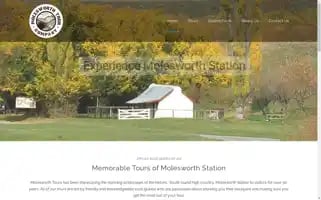 Molesworthtours.co.nz Screenshot 2024-04-24 05:51:04