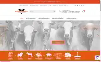 Basculasmedigan.com Screenshot 2024-07-01 14:20:31