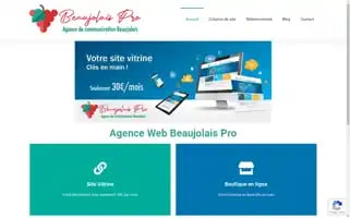 Beaujolais.pro Screenshot 2024-06-17 10:25:22