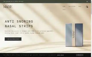 Mane-sleep.com Screenshot 2024-05-03 16:34:33