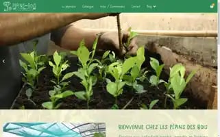 Pepinsdesbois.fr Screenshot 2024-05-20 17:25:24
