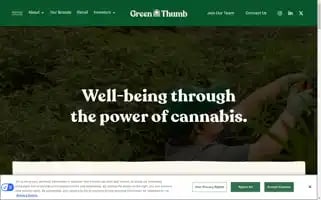 Gtigrows.com Screenshot 2024-07-02 00:28:25