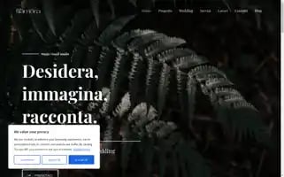 Tilamora.com Screenshot 2024-05-27 04:19:40