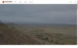 Davidrio.com Screenshot 2024-07-06 09:29:15