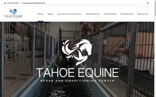 Tahoeequinerehab.com Screenshot 2024-06-18 12:13:08