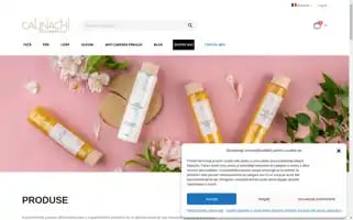 Calinachi.ro Screenshot 2024-06-26 23:44:47