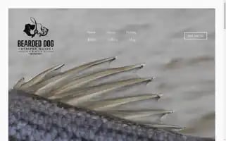 Beardeddogstriperguides.com Screenshot 2024-04-17 05:35:05
