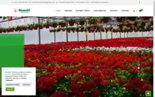 Hamelli.sk Screenshot 2024-05-19 21:42:38