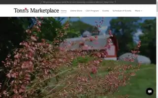 Tonnsmarketplace.com Screenshot 2024-05-16 21:42:37