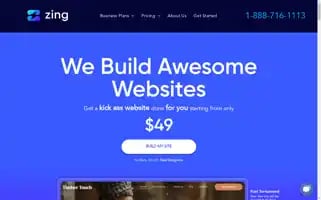 Zing.work Screenshot 2024-07-07 06:35:16