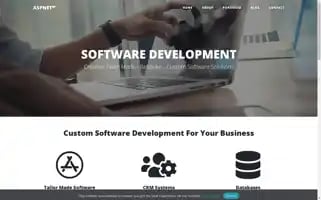 Aspneter.com Screenshot 2024-05-15 12:34:00