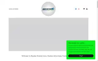 Baystarroatantours.com Screenshot 2024-04-17 10:22:52