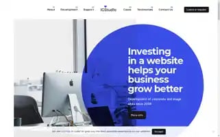 Igstudio.by Screenshot 2024-06-14 14:25:46