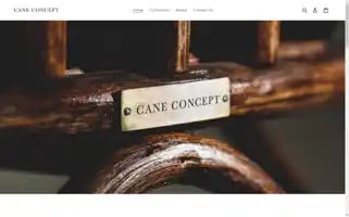 Caneconcept.com Screenshot 2024-06-27 09:19:08