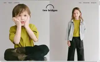 Twobridgesny.com Screenshot 2024-05-05 02:14:08