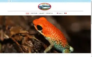 Picolinatours.com Screenshot 2024-04-16 23:31:32