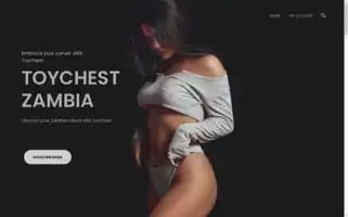 Toychest.fun Screenshot 2024-05-23 17:40:43