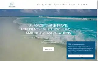 Biggstravel.com Screenshot 2024-04-16 03:05:46