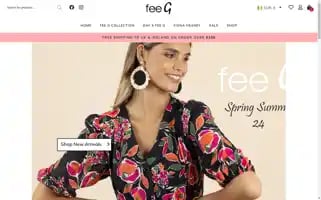 Fee-g.com Screenshot 2024-07-06 06:27:05