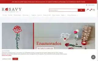Rosavy.com Screenshot 2024-05-19 17:14:35