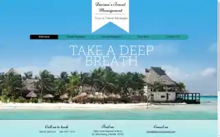 Davisonstravel.com Screenshot 2024-04-18 11:04:47