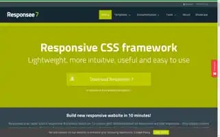 Myresponsee.com Screenshot 2024-06-13 04:37:58