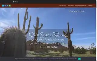 Whitestallion.com Screenshot 2024-05-15 02:34:30