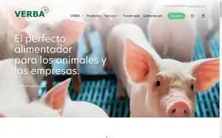 Verba-tolvas.es Screenshot 2024-05-21 21:30:07