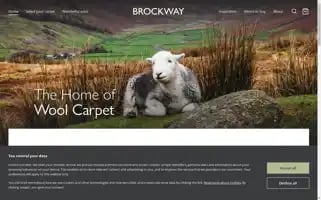 Brockway.co.uk Screenshot 2024-06-17 22:08:51