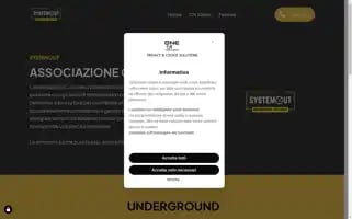 Systemout.org Screenshot 2024-07-01 09:59:48