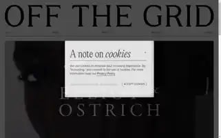 Otg.be Screenshot 2024-07-01 16:31:37