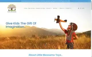 Littleblossomstoys.com.au Screenshot 2024-04-27 09:22:26