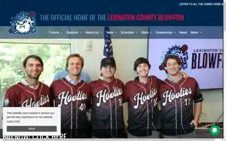 Goblowfishbaseball.com Screenshot 2024-06-13 17:21:54