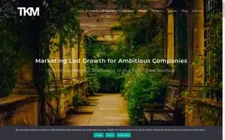 Tkm-consultants.com Screenshot 2024-06-11 06:12:42