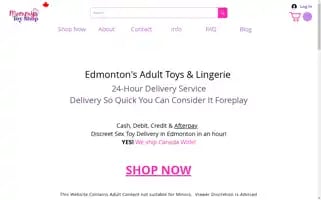 Mommystoyshop.com Screenshot 2024-06-13 14:20:48