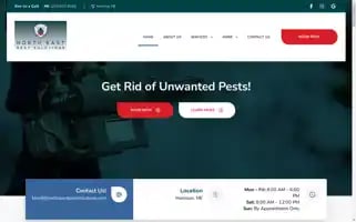 Northeastpestsolutions.com Screenshot 2024-07-01 07:53:38