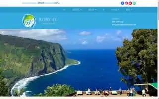 Wasabitourshawaii.net Screenshot 2024-04-16 10:29:56