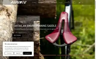 Sellerepente.com Screenshot 2024-05-05 07:24:15