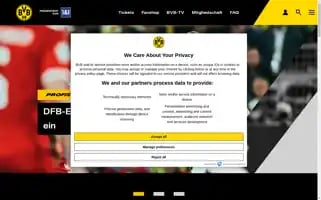 Bvb.de Screenshot 2024-06-30 14:17:06