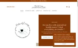 Pulseofenergy.org Screenshot 2024-05-16 14:18:09