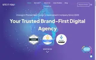 Siteitnow.com Screenshot 2024-07-02 01:08:41