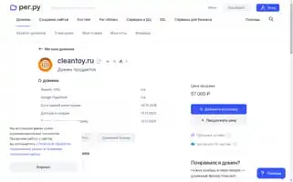 Cleantoy.ru Screenshot 2024-05-19 11:58:53
