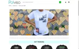 Polviso.com Screenshot 2024-05-19 12:21:35