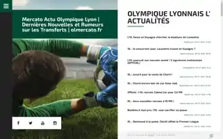 Olmercato.fr Screenshot 2024-07-10 05:13:09