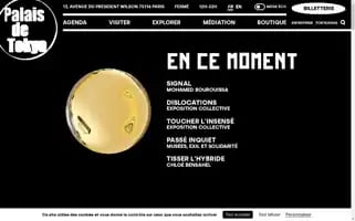 Palaisdetokyo.com Screenshot 2024-06-17 22:47:50