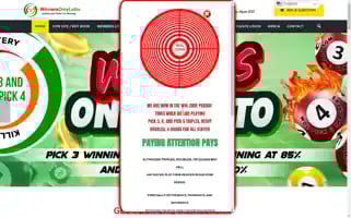Winnersonlylotto.com Screenshot 2024-06-18 23:59:18
