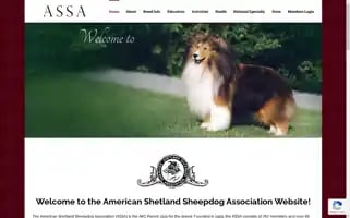 Americanshetlandsheepdogassociation.org Screenshot 2024-06-13 21:45:13