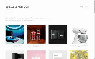 Estellelenestour.space Screenshot 2024-04-16 01:24:32