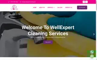 Wellexpertcleaning.com Screenshot 2024-06-26 03:39:11