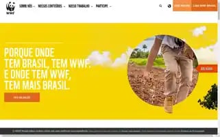 Wwf.org.br Screenshot 2024-07-09 12:30:32